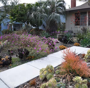 Caladrina Garden